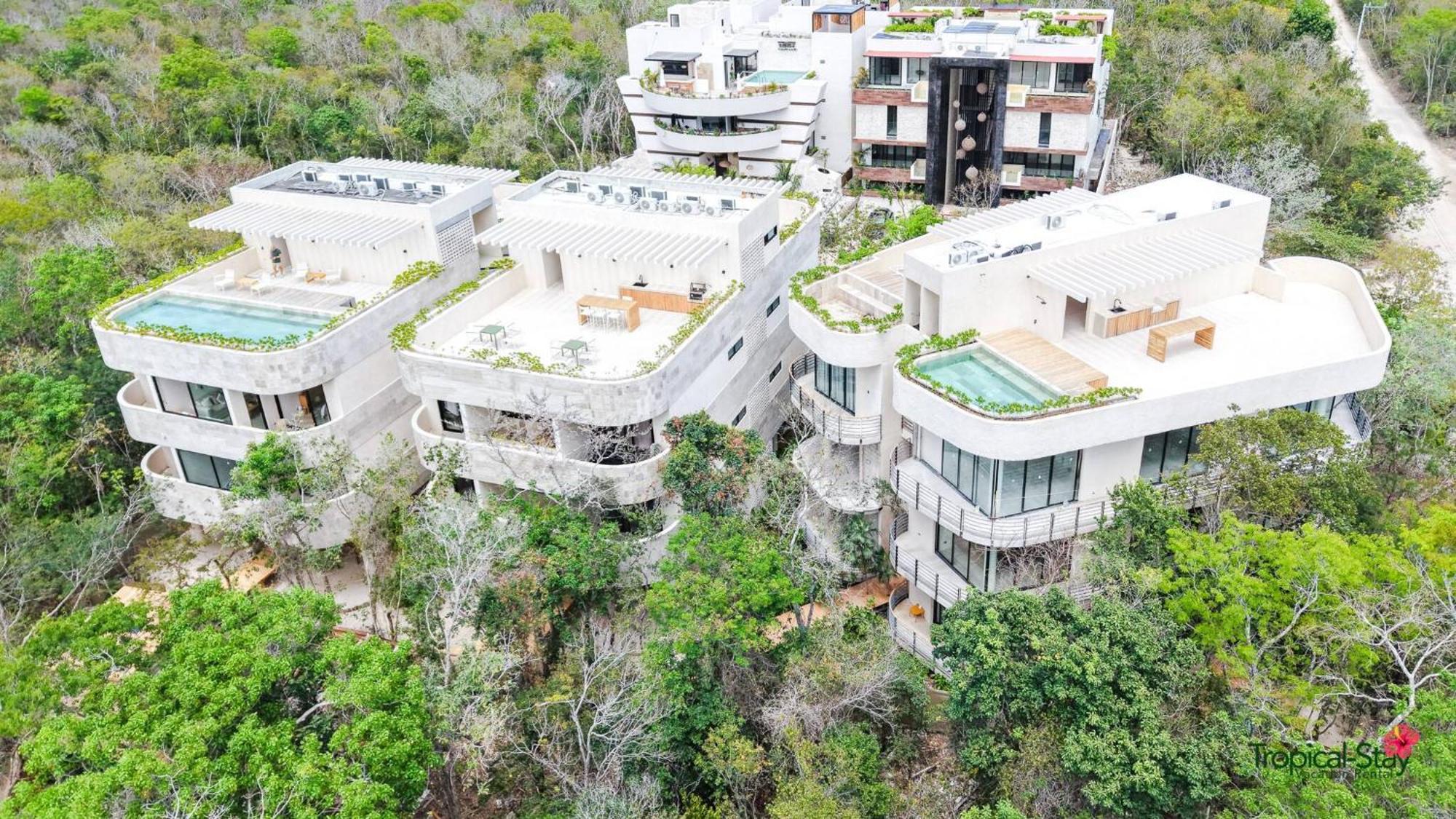 Kaabin Jungle Living C5 *